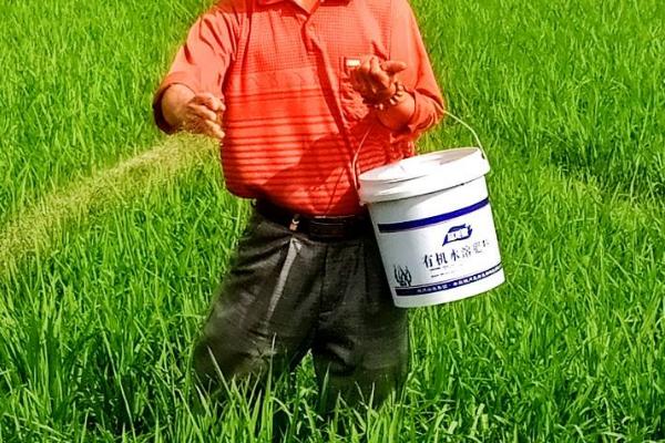 水稻田施肥方法，施足有机肥