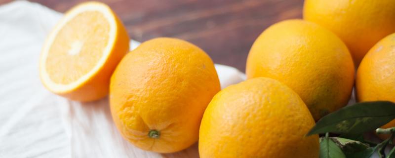 橙子和橘子有什么区别，橙子表皮光滑且厚