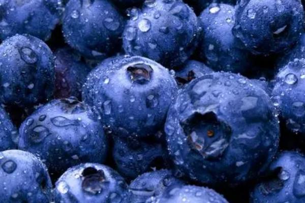 蓝莓的价格，市场需求比较大