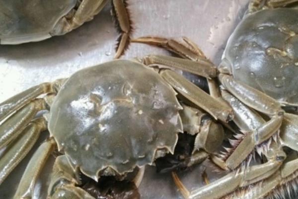 大闸蟹的价格，死亡后不可食用
