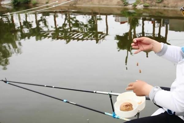 钓鱼可以钓浮吗，钓浮钓的是水里中上层的鱼种