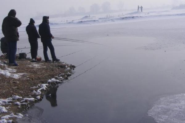 冬季钓鱼的最佳时间，若钓法得当也能做到“淡季不淡”