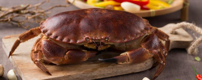 面包蟹和太子蟹的区别，产地和外观明显不同