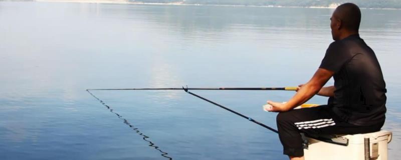 19调鱼竿是指什么，控鱼有力且能快速回鱼