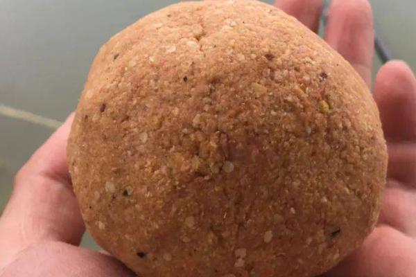 草鱼几月份开口吃玉米，5-9月份效果最好