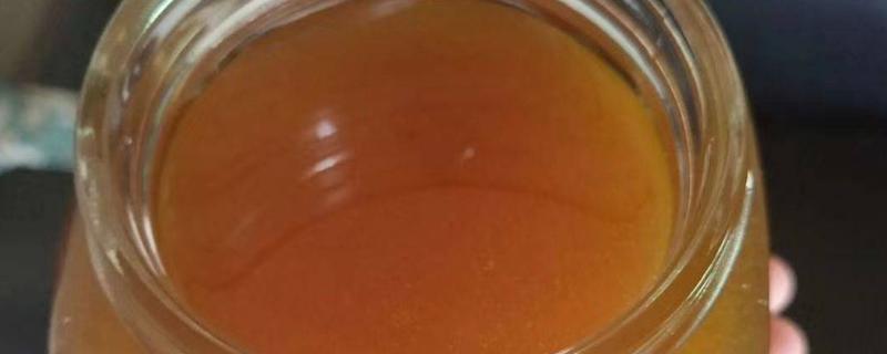 正宗土蜂蜜是什么颜色，多呈琥珀色或深琥珀色液体状
