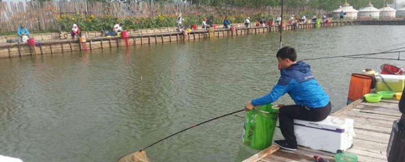 3.6米鱼竿适合在哪钓鱼，适合在溪流等小水域钓鱼