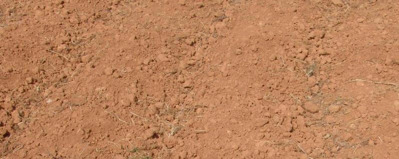 土壤紧实度，又被称为土壤硬度
