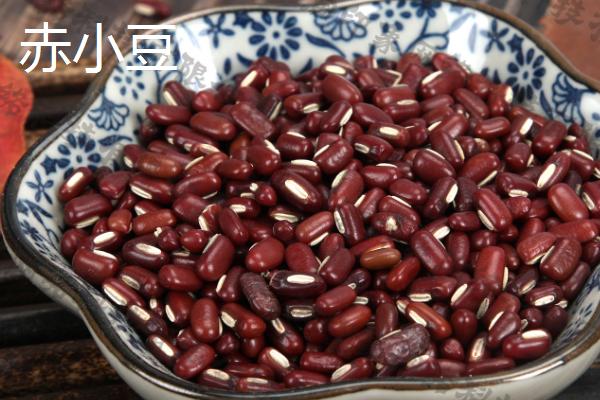 红豆是赤小豆吗，虽然颜色相同但是不是同一品种