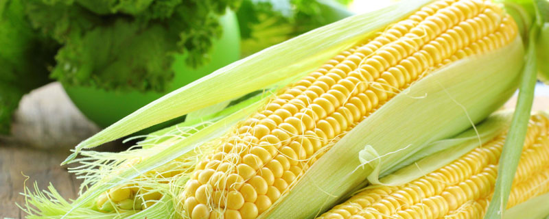 来玉2108玉米种子特点，适宜密度为每亩4500株左右