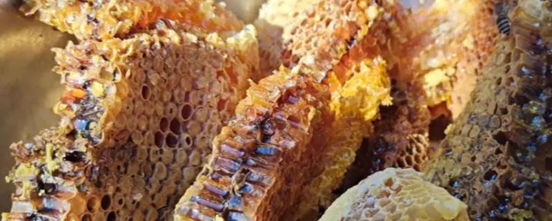 胡枝子蜜是什么蜜，是蜜蜂采集胡枝子花蜜酿制而成的