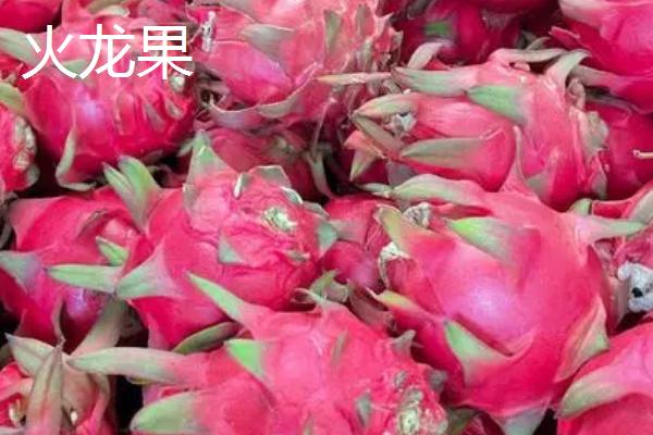 麒麟果的价格，各地价格不一