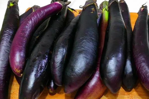 7、8月份适合种植什么菜，可以选择丝瓜、茄子、芹菜、苦瓜等