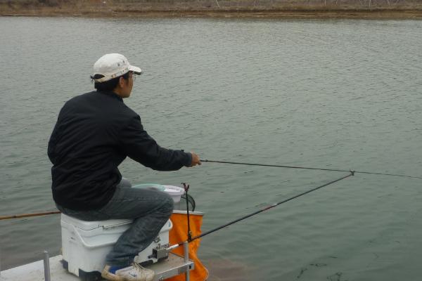 冬天如何钓鲤鱼，初冬可在晴朗天气作钓