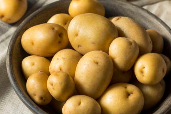 土豆常见的种类，常见黑土豆、白土豆和彩色土豆等