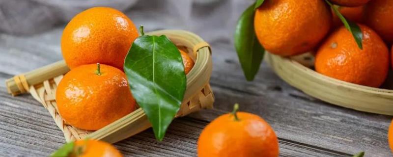 桔子和橘子的区别，是同一种水果只是叫法不同