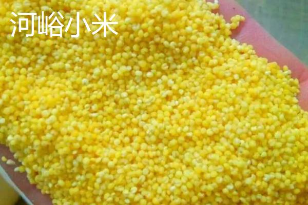 山西省榆社县的特产，榆社洋槐蜜为我国创汇