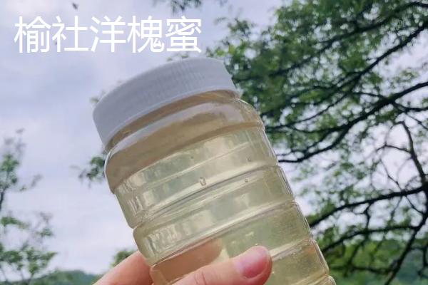 山西省榆社县的特产，榆社洋槐蜜为我国创汇