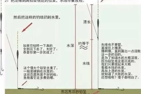 新手怎么调鱼漂，可选择调三钓二、调三钓三等