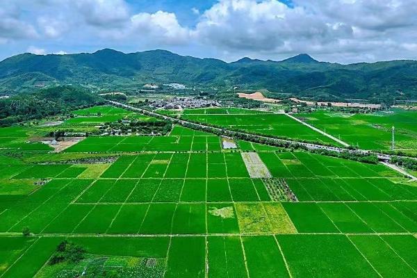 基本农田可以建养猪大棚吗，基本农场不可养殖