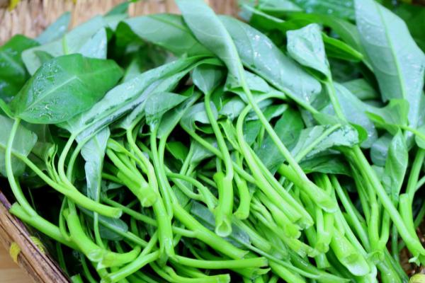 哪些作物在夏季收获，包括冬小麦、油菜、黄瓜等品种