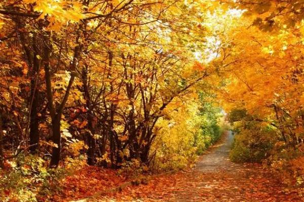 什么节气代表秋天开始，立秋为秋季的起点
