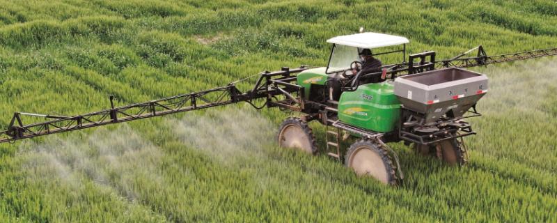 小麦吸浆虫的农药整治技巧，蛹期和成虫期的防治方法不同