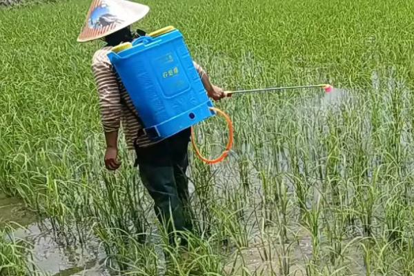 玉米助壮素能与别的药一起用吗，不可以一起使用