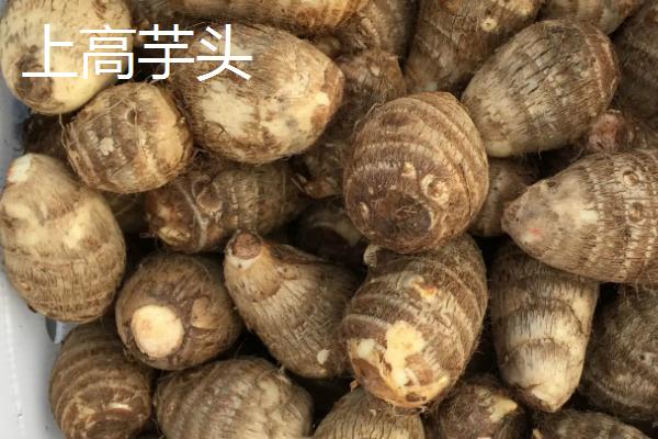 江西宜春市的特产，靖安椪柑是江西省名牌农产品