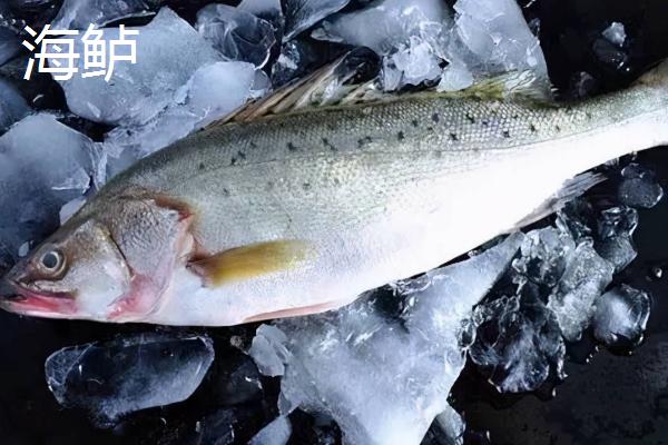鲈鱼的水温和盐度多少，不同品种适宜的水温和盐度都不同