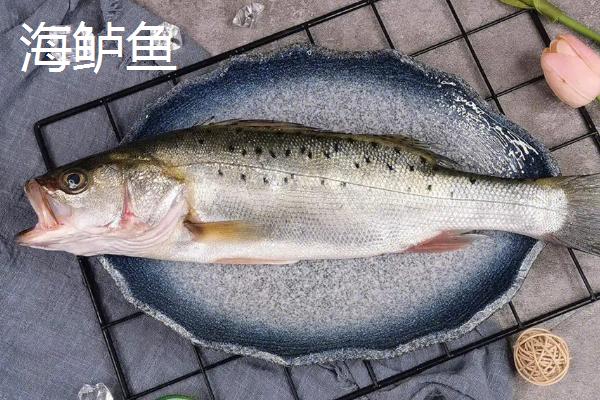 鲈鱼的水温和盐度多少，不同品种适宜的水温和盐度都不同