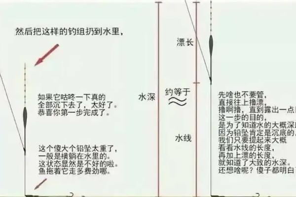 如何才能精确判读漂讯，不同漂讯的提竿时机不同
