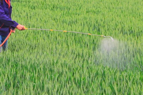 小麦除草剂可以加二氢钾吗，一般不可混用
