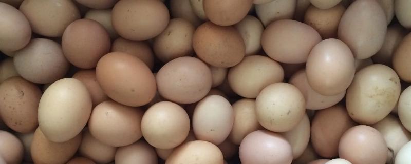 如何判断鸡蛋是否新鲜，挑选重一点且没有晃动感的