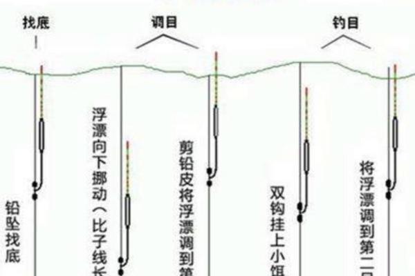 黑坑钓青鱼怎么调漂，调漂之前先找底