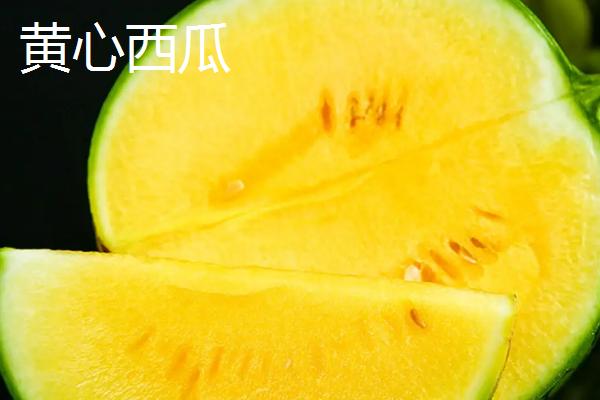 黄心西瓜是转基因的吗，不是转基因西瓜可放心食用