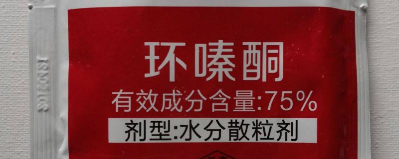 能杀死大杂树的是什么除草剂，可选用环嗪酮、草甘三氯吡