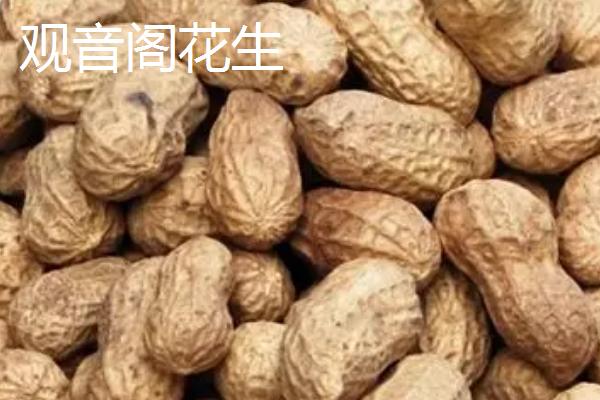广东惠州的特产，三黄胡须鸡久负盛誉