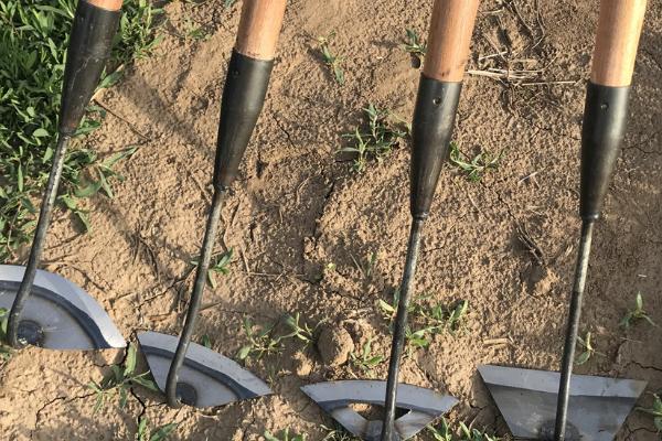 中耕机工作部件如何正确使用，培土铲广泛应用于北方平原旱作地区