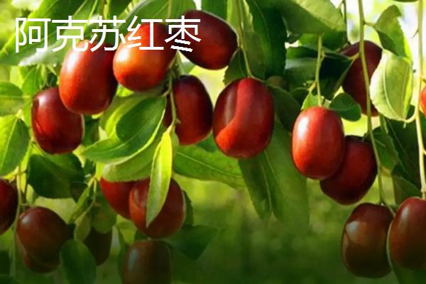 阿克苏市的特产，是中国重要的优质棉生产基地