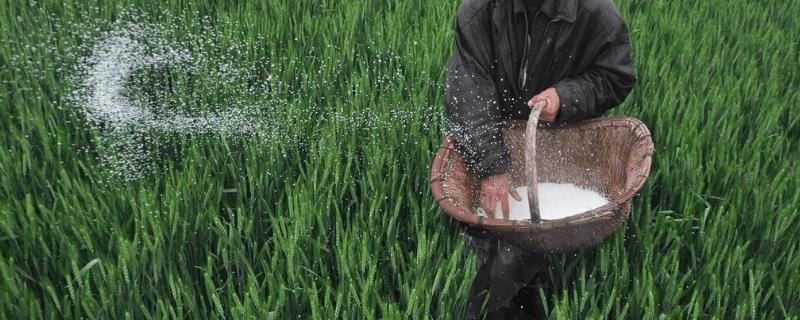 化肥种类和使用方式，常见类型主要为氮磷钾肥料