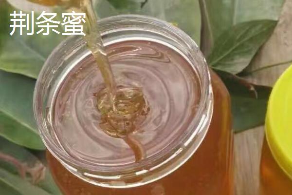 45元一斤的荆条蜜贵不贵，价格较低的荆条蜜可能是糖浆