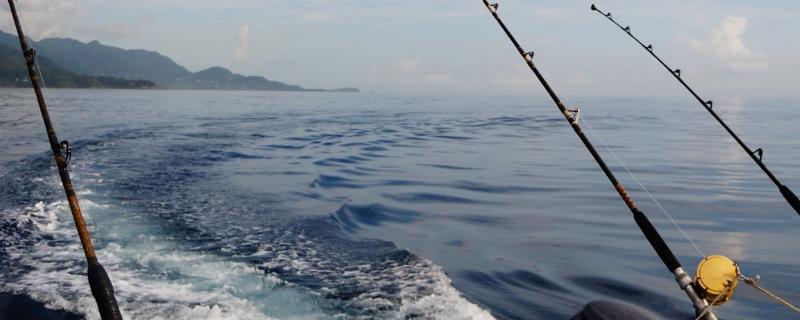 海钓路亚竿的适宜长度，礁石较少时可使用2.7米的鱼竿