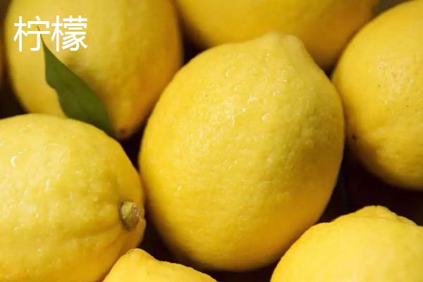 柠檬和香橼的区别，叶片和果实都有明显的不同