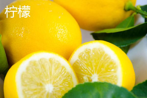 柠檬和香橼的区别，叶片和果实都有明显的不同