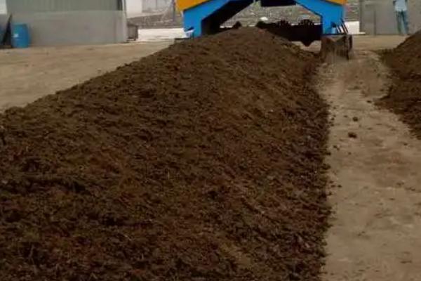 冬天可以种植双孢菇吗，要做好通风和施肥工作