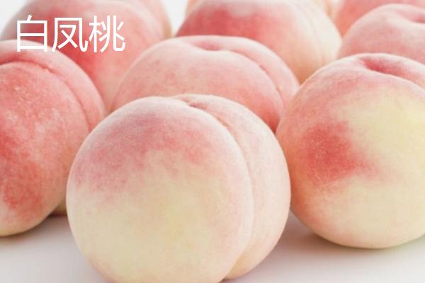 白凤桃的价格，各地价格不一
