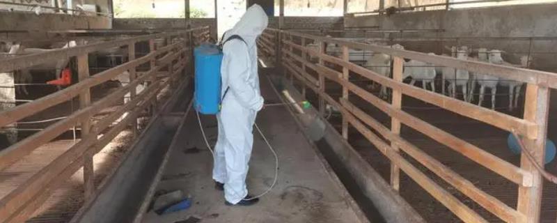 怎样清理养殖场，全面保证清洗消毒的效果