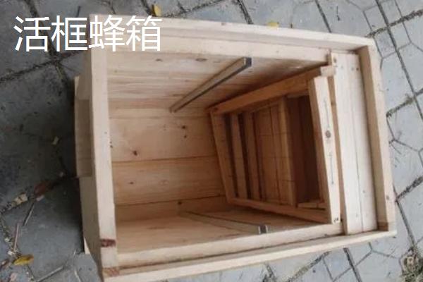 合理的中蜂箱有哪些，包括传统蜂箱和活框蜂箱