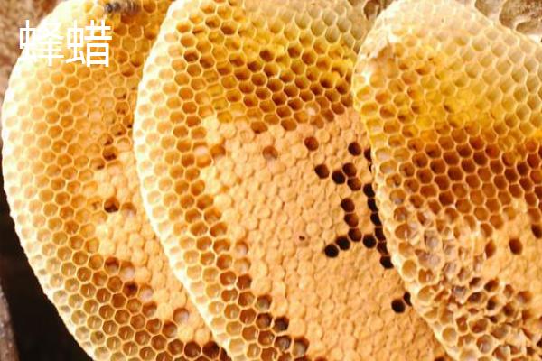 能快速吸引蜜蜂的东西是什么，常用物质一般为蜂蜡